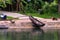 Traditional fisherman boat left on river bank in Sri Lanka