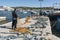 Traditional fishermen and boat in Marsaxlokk, Malta