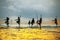 Traditional fishermen on sticks at the sunset in Sri Lanka.