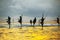 Traditional fishermen on sticks at the sunset in Sri Lanka