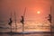 Traditional fishermen at the sunset, Sri Lanka.