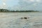 Traditional fishing boat on the sand at low tide. Landscape on t