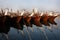 Traditional fishing boats called as dhows in the Fishing harbor of Manama, Bahrain