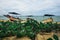 Traditional fishing village with lovely sky and fishing boat moored near the shore