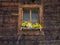 Traditional flowered windows at the Italian Alps and dolomites