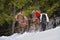 Traditional Forest workers in winter time dragging wood with horses