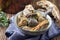 Traditional French boeuf bourguignon with vegetable farmhouse bread in a design bowl