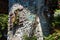 Traditional French Stone House with Balcony Full of Flowers on a