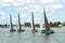 Traditional Frisian wooden sailing ships in a yearly competition