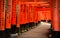 Traditional geisha in Kimono dress walking through the Fushimi Inari Torii gates creating a beautiful orange tunnel..Kyoto..(Kyoto