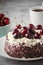 A traditional German chocolate and cherry cake Schwarzwald