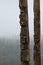 Traditional Gitxsan totem poles with mist covered forest behind