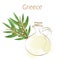 Traditional greek olive oil vector illustration - olive tree illustration