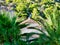 Traditional Greek Orthodox Church View Through Palm Fronds, Greece