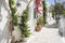 Traditional greek street with flowers, Greece. Greek vacations, travel destination, landmarks concept.