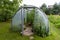 Traditional Greenhouse in Lithuania and Eastern Europe. Place to Grow Vegetables.