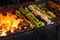 Traditional grilled tandoori of assorted meats with charcoal and fire on skewers