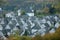 Traditional half-timbered houses in freudenberg, germany