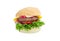 Traditional hamburger on a light background