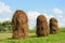 Traditional haymaking - haystacks