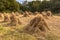 Traditional Haystack of buckwheat