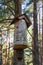 Traditional hive, a chamber hollowed out for bee breeding purposes, inside a tree trunk