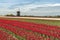 Traditional Holland countryside