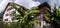 Traditional homes and palms in Quinten on the Walensee, Switzerland