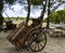 Traditional horse carriage or donkey used in the Apulian countryside
