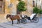 Traditional Horse and Cart