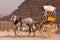 Traditional Horse Chart Pyramids of Giza Cairo Egypt and Sphinx at sunset