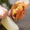 Traditional hot dog with a smoked frankfurter on a fresh roll garnished with mustard and served with lettuce, tomato and