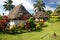 Traditional houses of Navala village, Viti Levu, Fiji