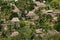 Traditional houses of Navala village, Viti Levu, Fiji