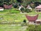 Traditional houses of a small village among rice fields in Lake Toba, Pulau Samosir. Indonesia