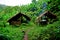 Traditional hut, campsite in lush tropical forest, Nam Ha National Protected Area, Laos
