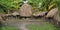 Traditional hut of dani people in traditional village