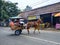 Traditional Indonesian horse-powered vehicles are known as delman.