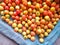 Traditional Indonesian Market Selling Many Fresh Ripe Tomatoes and By Displaying Them on the Ground