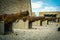 Traditional Iron Cannons of Malta Historical Maltese Sites