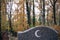 Traditional islamic crescent moon symbol on granite gravestone. Muslim grave in the autumn cemetery