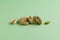 Traditional italian almond cookies. Soft amaretti with pistachios. Green background, selective focus, copy space