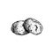 Traditional Italian cookies Amaretti. Hand drawn sketch style drawings. Vector illustration