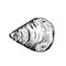 Traditional Italian dessert Sfogliatelle Sfogliatella. Top view. Hand drawn sketch style Italian sweets illustration. Puff pastr