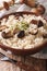 Traditional Italian risotto with wild porcini mushrooms close up