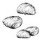 Traditional italian sweets Sfogliatelle set. Hand drawn sketch style. Puff pastry with cream inside.