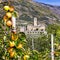 Traditional Italy - castles and gardens of Valle d\'Aosta - Sarre