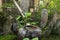 Traditional japanese bamboo purification fountain for purification at entrance of the Japanese temple.