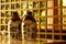 Traditional japanese clay bottles on a table with natural lighting