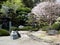 Traditional Japanese garden with blossoming cherry tree at Gokurakuji, temple 2 of Shikoku